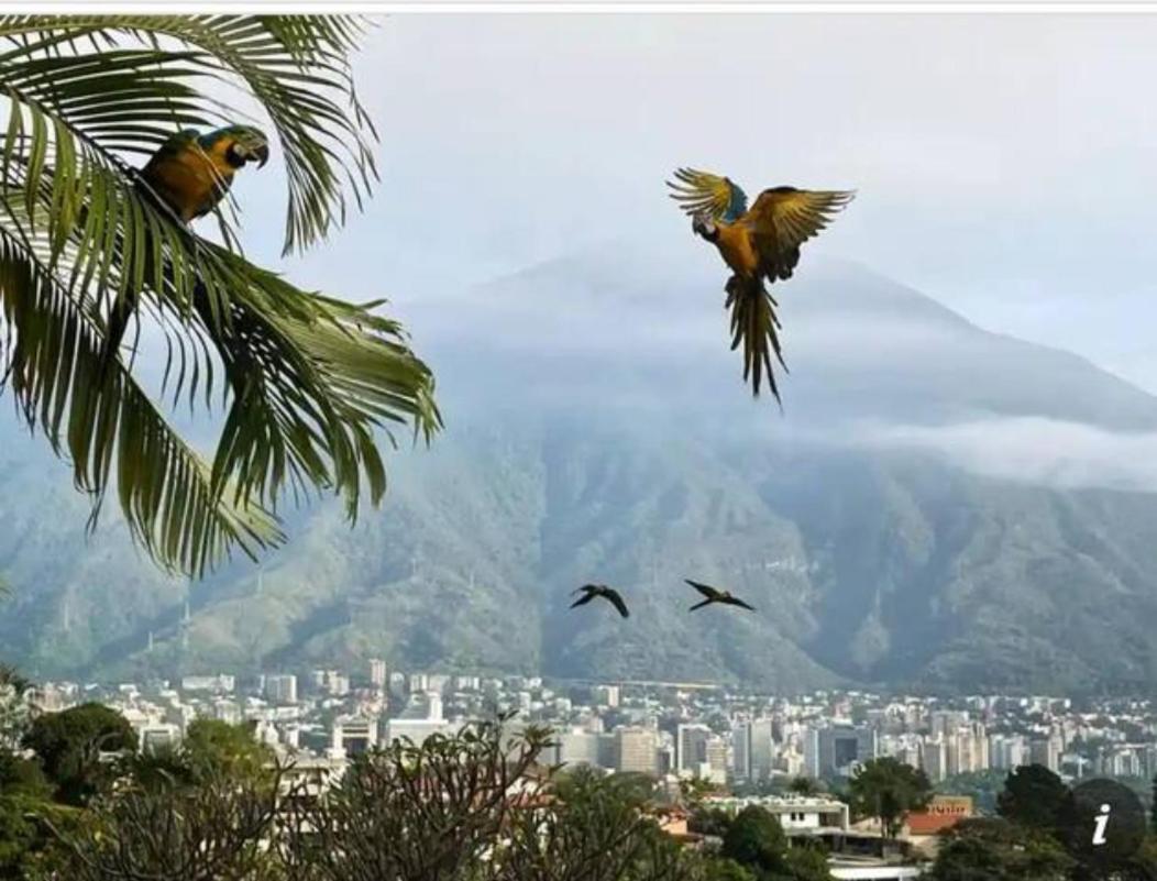 Hermoso 1hab+2banos En El Bosque,ccs Apartamento *